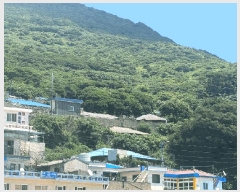  2025Ÿ��51203 ���� �žȱ� ���� ���ŵ��� 204-4      ����(��1)���