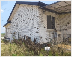  2025Ÿ��51211 ���� ���ȱ� ����� ��ȭ�� 894      ���ð��