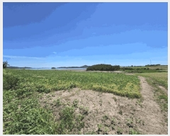  2025Ÿ��51258 ���� �žȱ� ������ ��ȭ�� 1965      ����(��1)���