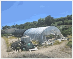  2025Ÿ��51258 ���� �žȱ� ������ ��ȭ�� 1965      ����(��1)���