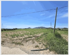  2025Ÿ��51258 ���� �žȱ� ������ ��ȭ�� 1965      ����(��1)���