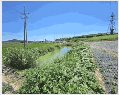  2025Ÿ��51258 ���� �žȱ� ������ ��ȭ�� 1965      ����(��1)���