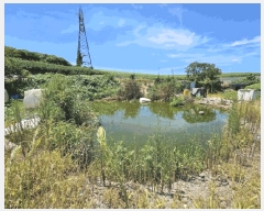  2025Ÿ��51258 ���� �žȱ� ������ ��ȭ�� 1965      ����(��1)���