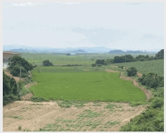  2025Ÿ��51276  ����������