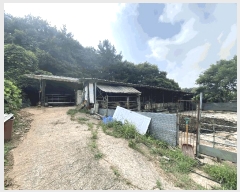  2025Ÿ��51276  ����������