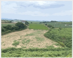  2025Ÿ��51276  ����������