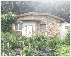  2025Ÿ��51276  ����������