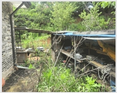  2025Ÿ��51288  ���ð��