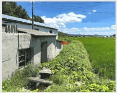  2025Ÿ��51308  �������