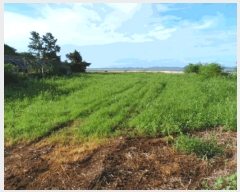  2025Ÿ��51342  ���ð��