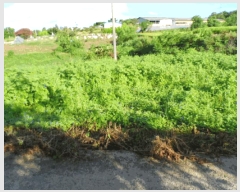  2025Ÿ��51342  ���ð��