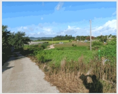  2025Ÿ��51342  ���ð��