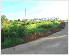  2025Ÿ��51342  ���ð��