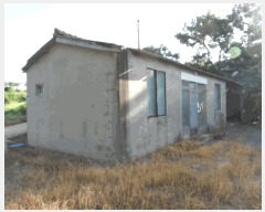  2025Ÿ��51342  ���ð��