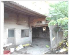  2025Ÿ��51342  ���ð��