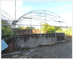  2025Ÿ��51342  ���ð��