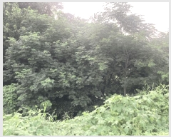  2025Ÿ��51348  ����