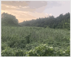  2025Ÿ��51348  ����