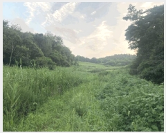  2025Ÿ��51348  ����