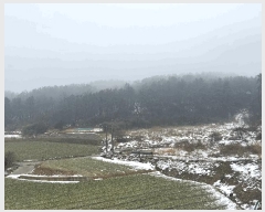  2025Ÿ��277  �Ӿ߰��