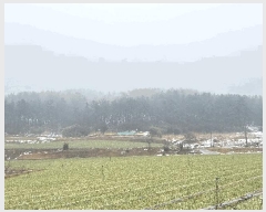  2025Ÿ��277  �Ӿ߰��