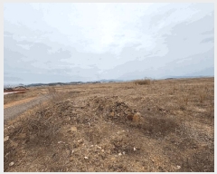  2025Ÿ��298  ���������