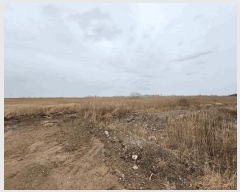  2025Ÿ��298  ���������