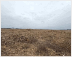  2025Ÿ��298  ���������