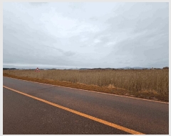  2025Ÿ��298  ���������