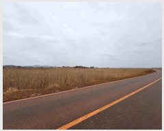  2025Ÿ��298  ���������