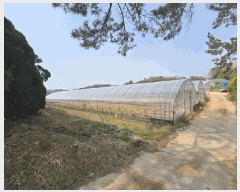  2025Ÿ323  ϱ  ۸ 416      ()