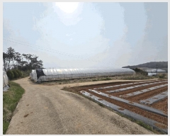  2025Ÿ323  ϱ  ۸ 416      ()