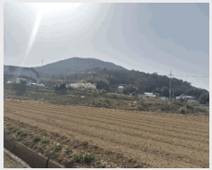  2025Ÿ329  ȱ   453      ()