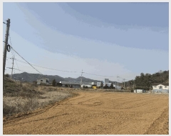  2025Ÿ329  ȱ   453      ()