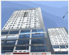  2025Ÿ355  ȱ  Ǹ 2233 ֿ尡9ǽ 161614ȣ    ǽڰ