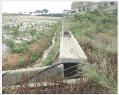  2025Ÿ��377 ���� ���ȱ� ��� ���� 1068-23      ����(��1)���