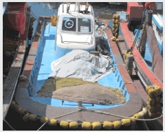  2025Ÿ413 õ          ڰ