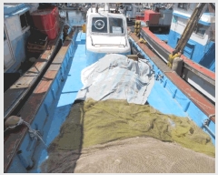  2025Ÿ413 õ          ڰ