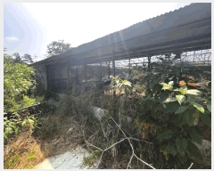  2025Ÿ��425  ����