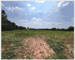  2025Ÿ��425  ����