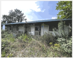  2025Ÿ425  ϱ  ︮ 198-31      (Ӿ)