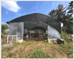  2025Ÿ425  ϱ  ︮ 198-31      (Ӿ)