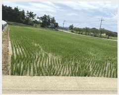  2025Ÿ��443 ���� ���ȱ� û��� ��ȣ�� 888-2      ����(��1)���