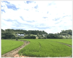  2025Ÿ��443 ���� ���ȱ� û��� ��ȣ�� 888-2      ����(��1)���