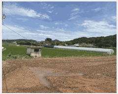  2025Ÿ��443 ���� ���ȱ� û��� ��ȣ�� 888-2      ����(��1)���