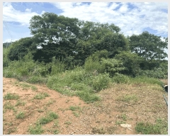  2025Ÿ��443 ���� ���ȱ� û��� ��ȣ�� 888-2      ����(��1)���