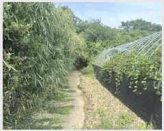  2025Ÿ��457  �������