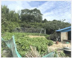  2025Ÿ��457  �������