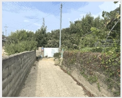  2025Ÿ��457  �������