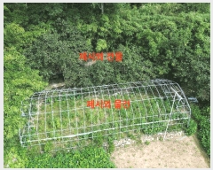  2025Ÿ��457  �������